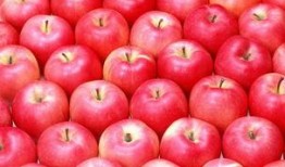 娱乐吃瓜酱苹果自带滤镜,娱乐吃瓜酱带你领略滤镜魔法魅力